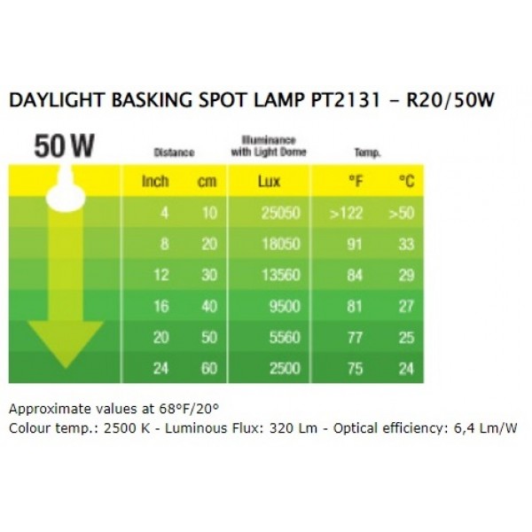 Daylight BASKING SPOT lempa, 50 W